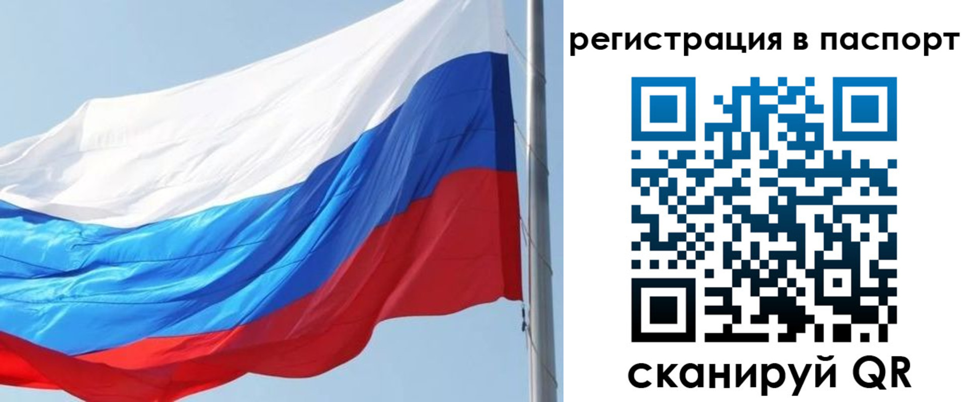 прописка законно в Новозыбкове